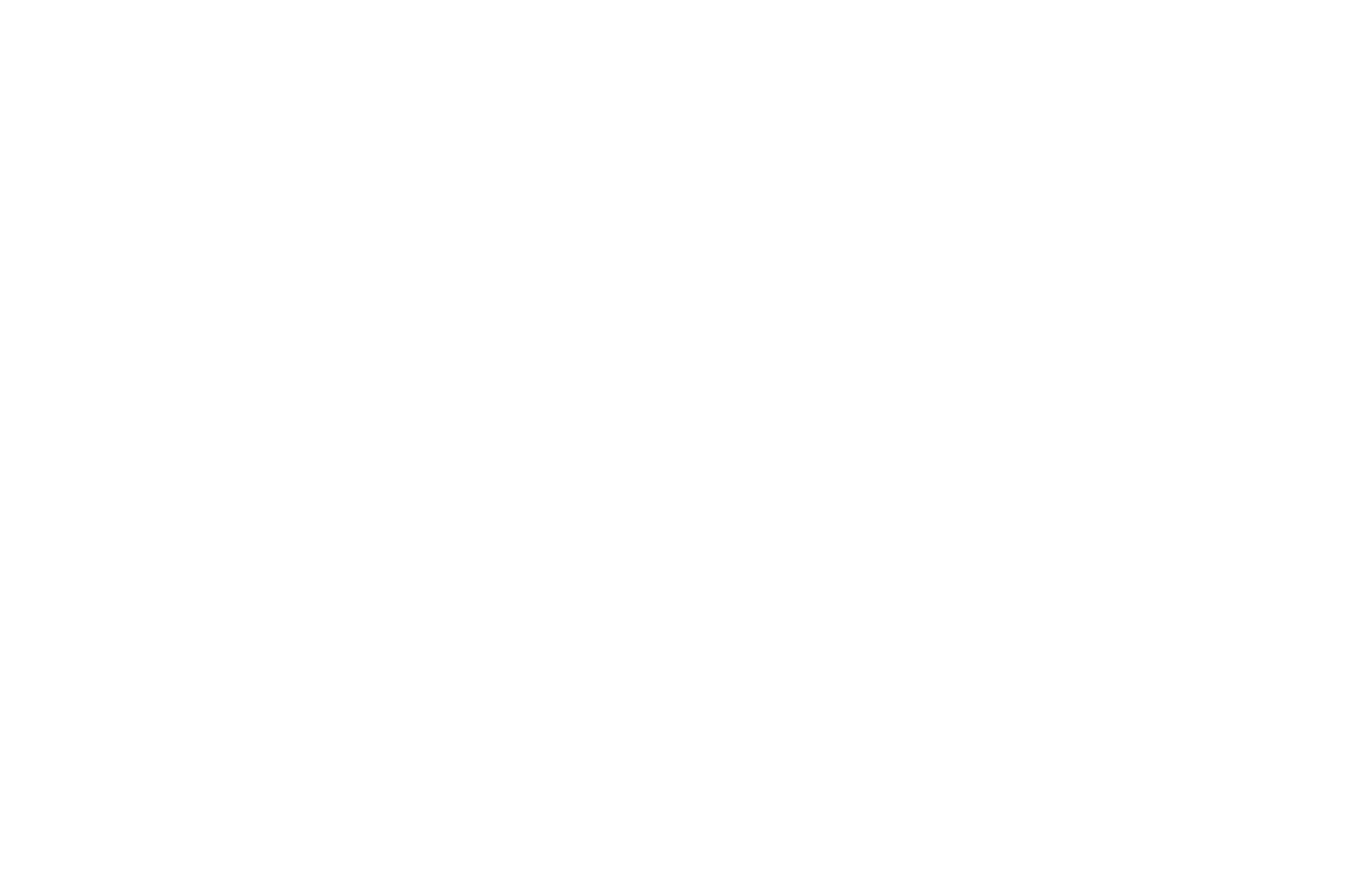 Black Frog Arms